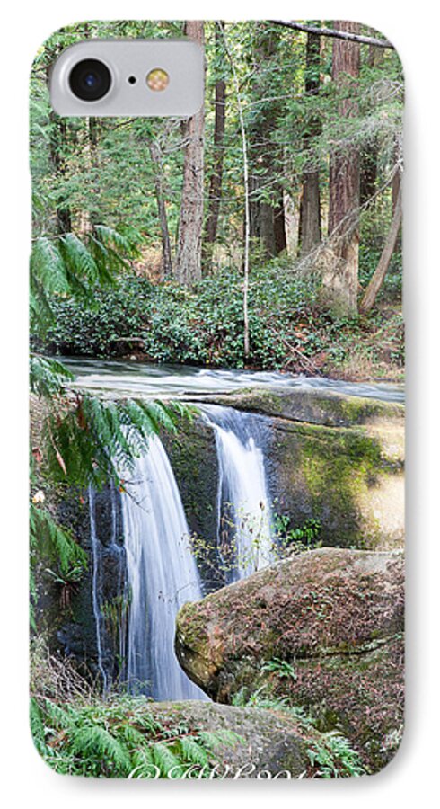 Nature iPhone 7 Case featuring the photograph Whatcom Falls by Judy Wright Lott