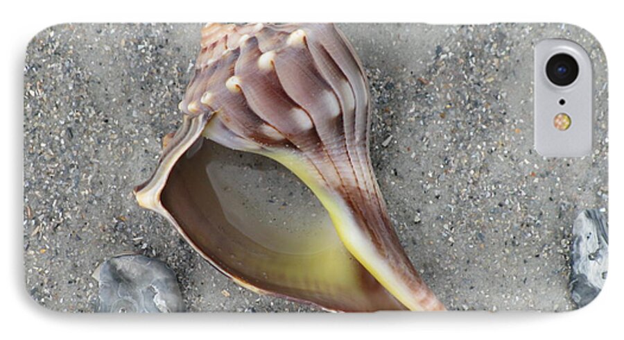 Landscape iPhone 7 Case featuring the photograph Whelk with Sand by Ellen Meakin
