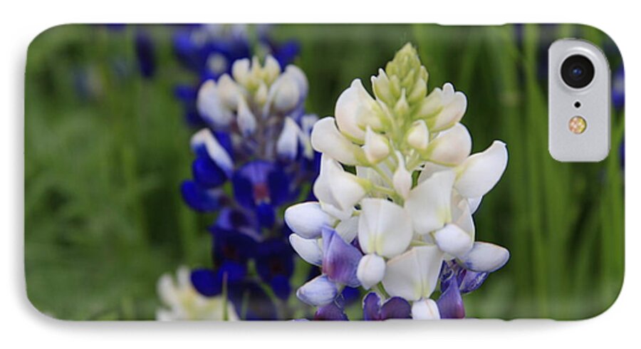 White iPhone 7 Case featuring the photograph White BlueBonnet by Jerry Bunger