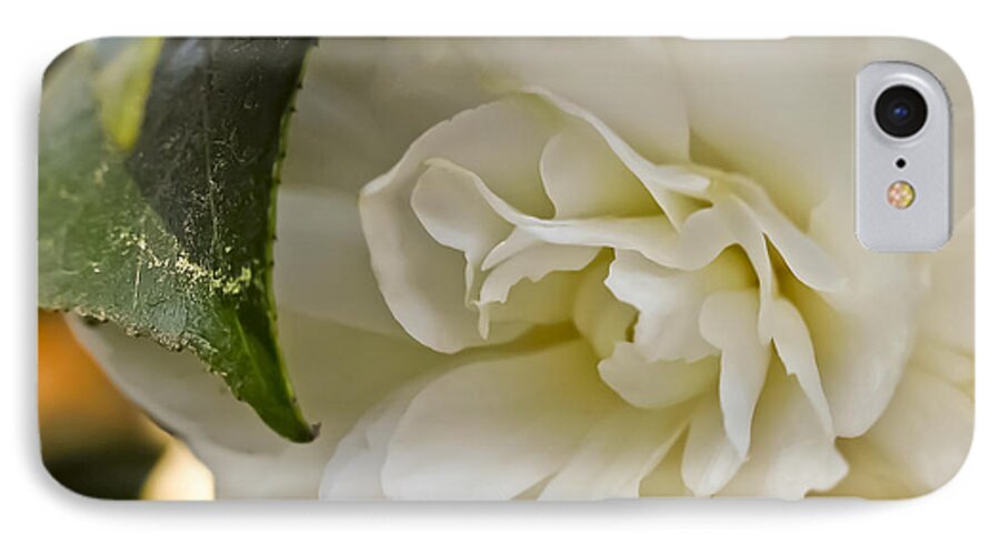 Camellia iPhone 7 Case featuring the photograph White Camellia 1 by David Doucot