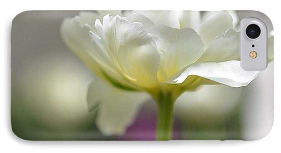 Tulip iPhone 7 Case featuring the photograph White Green Tulip by JoAnn Lense