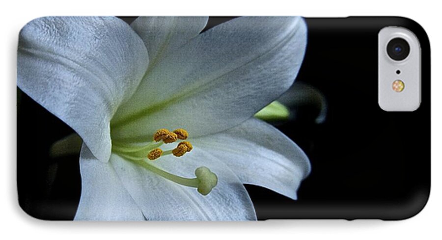 White Lily iPhone 7 Case featuring the photograph White Lily on Black by Lori Miller