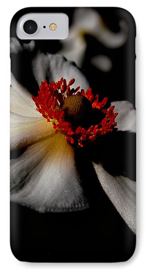 Orphelia Aristal iPhone 7 Case featuring the photograph White Spring by Orphelia Aristal