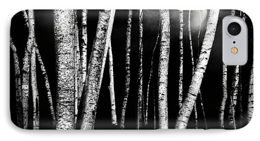 White Birch Trees iPhone 7 Case featuring the photograph White Walls by Diana Angstadt