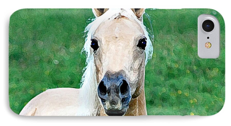 Horse iPhone 7 Case featuring the photograph Who Comes to my Pasture by Lila Fisher-Wenzel