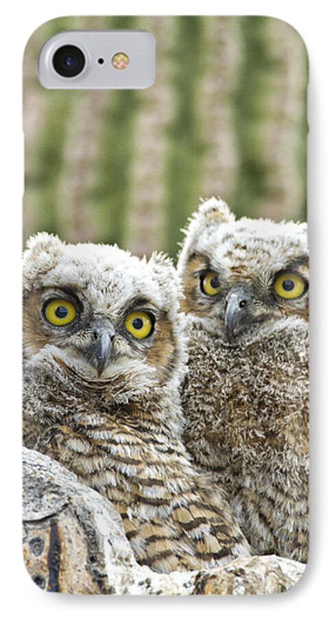 Owl iPhone 7 Case featuring the photograph Who's There? by Bryan Keil