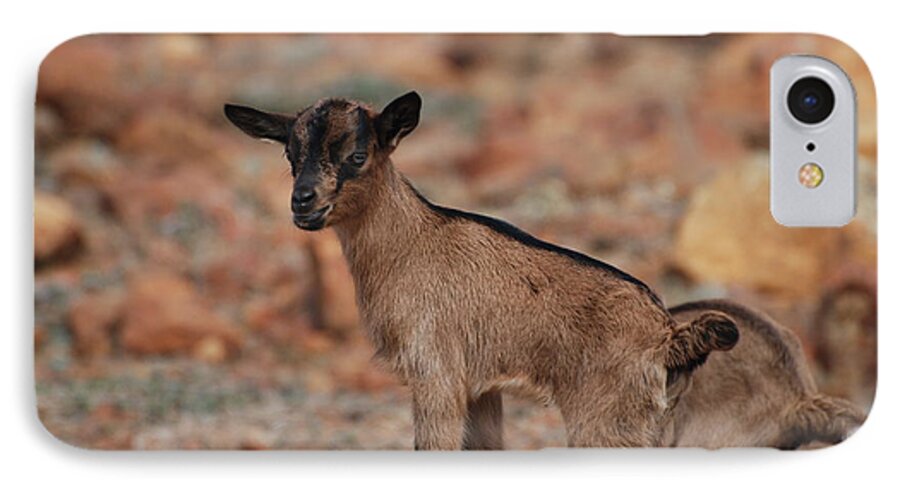 Goat iPhone 7 Case featuring the photograph Wild Baby Goat by DejaVu Designs