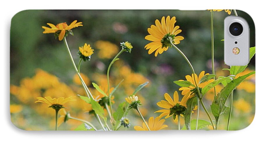 Wildflowers iPhone 7 Case featuring the photograph Wildflowers 2013 by Fred Sheridan