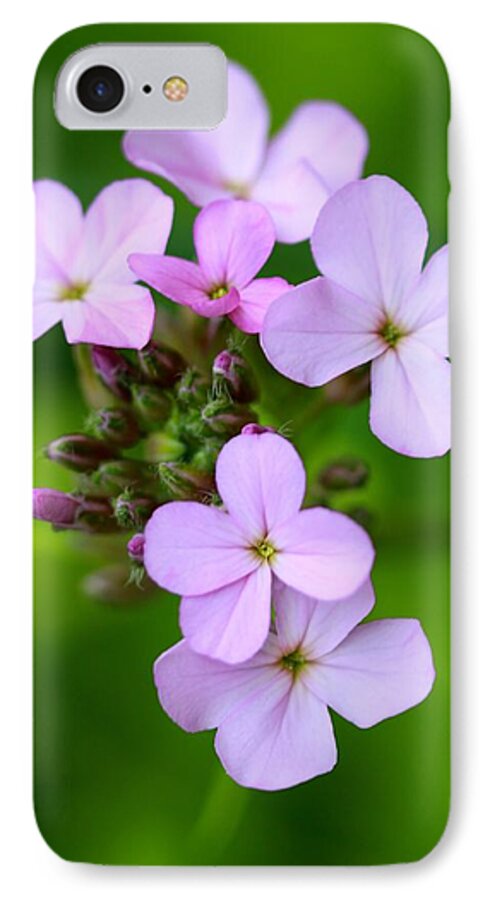 Wildflowers iPhone 7 Case featuring the photograph Wildflowers by Tracy Male