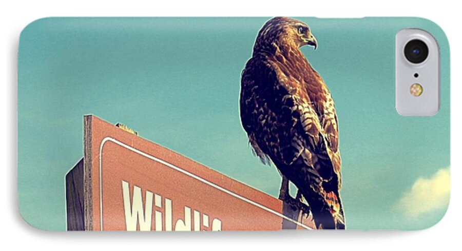 Red Tail iPhone 7 Case featuring the photograph Wildlife Drive Greeter by Sharon Woerner
