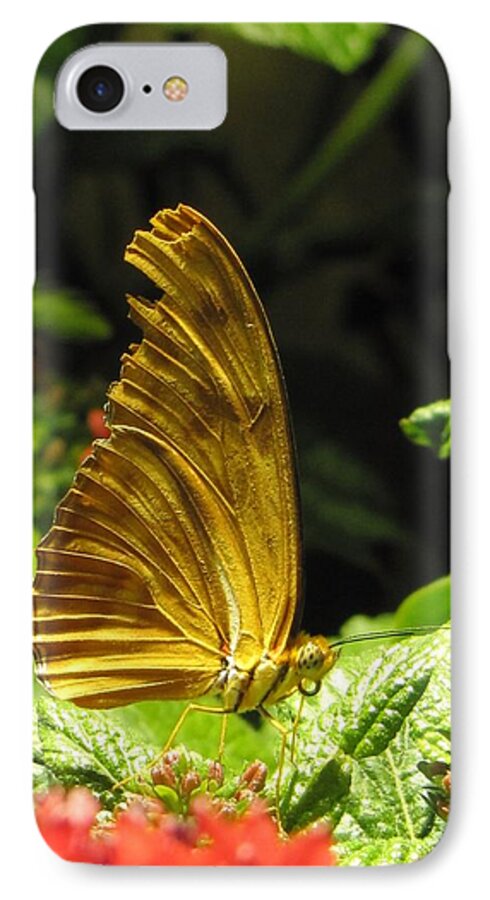 Wings iPhone 7 Case featuring the photograph Wings of Gold by Jennifer Wheatley Wolf