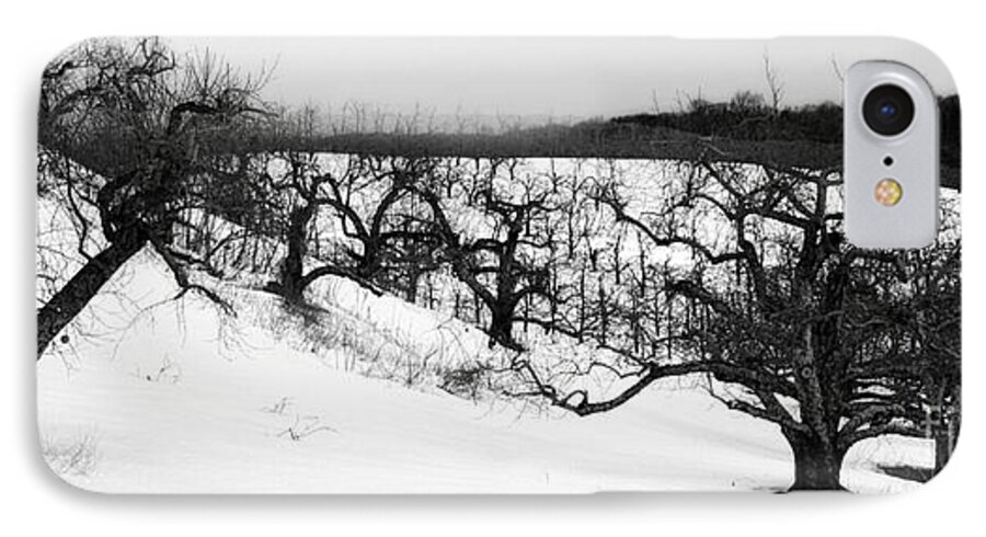 Winter iPhone 7 Case featuring the photograph Winter by Raymond Earley
