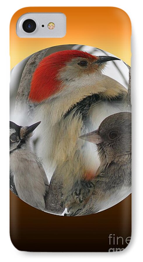 Birds iPhone 7 Case featuring the photograph Winter Trio by Rick Rauzi