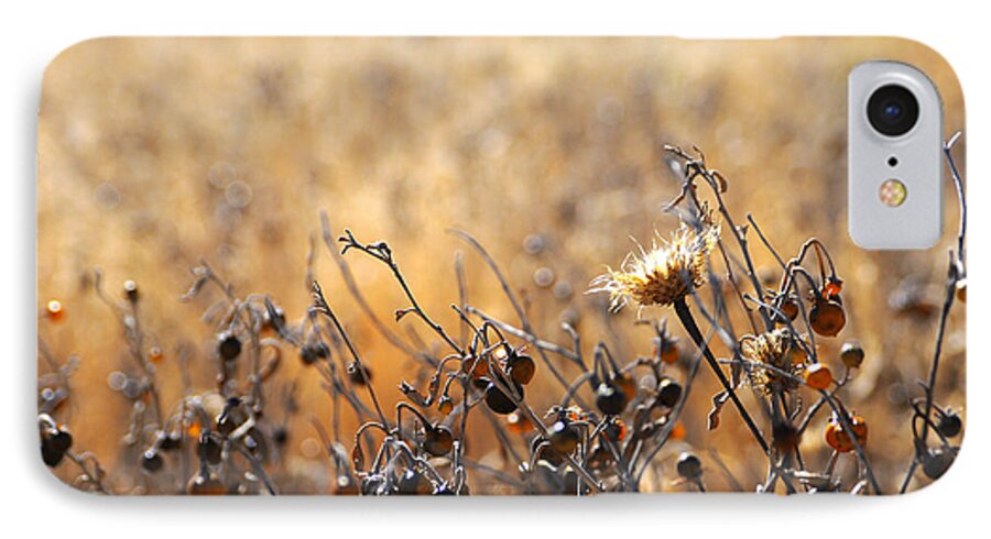 Fine Art Photography iPhone 7 Case featuring the photograph Winter Weeds by Karen Slagle