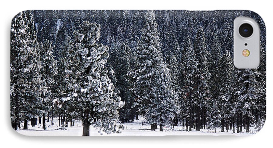 Canon iPhone 7 Case featuring the photograph Winter Wonderland by Melanie Lankford Photography