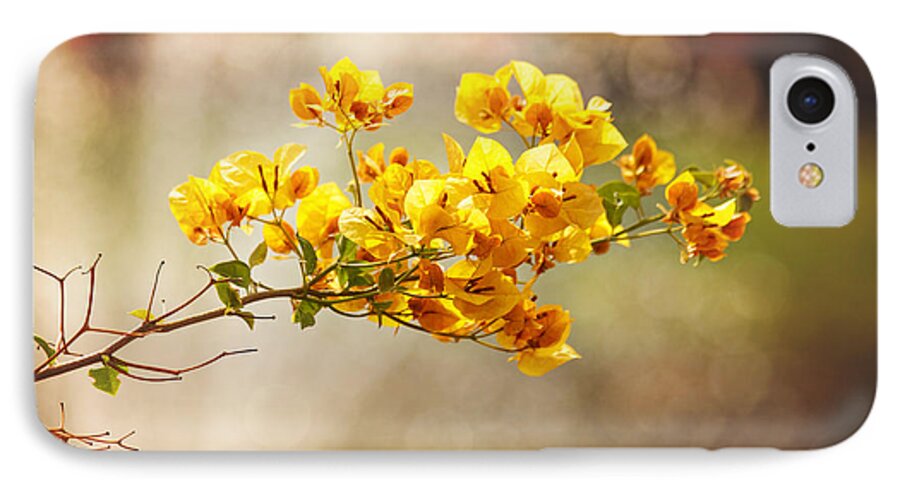 Flowers iPhone 7 Case featuring the photograph Yellow Bougainvillea by Sally Simon