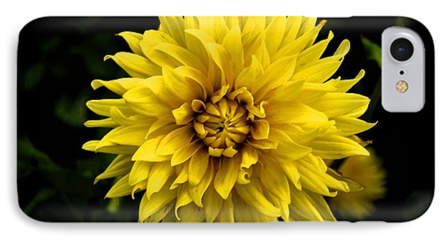 iPhone 7 Case featuring the photograph Yellow Flower by Matt Quest