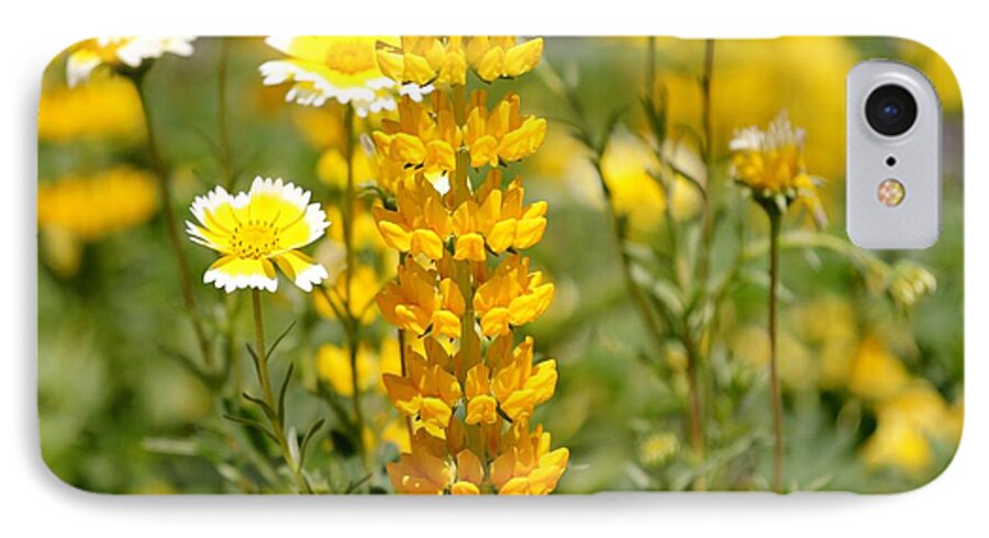 Yellow iPhone 7 Case featuring the photograph Yellow Flowers in the Meadow by Liz Vernand