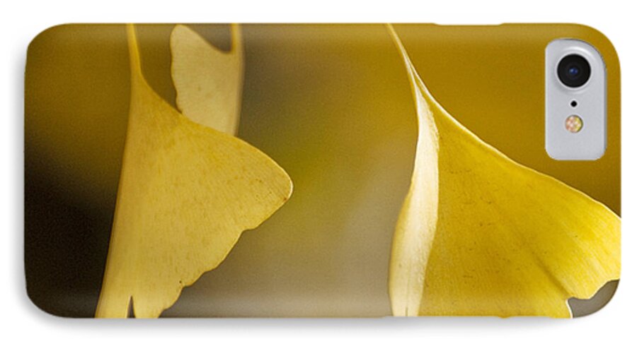 Athens iPhone 7 Case featuring the photograph Yellow Ginkgo by Sally Ross
