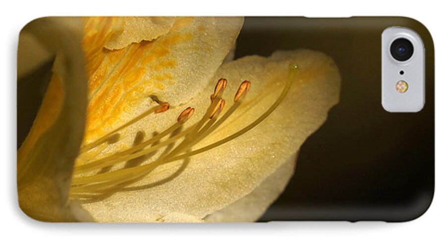 Rhododendron iPhone 7 Case featuring the photograph Yellow Rhododendron by Inge Riis McDonald