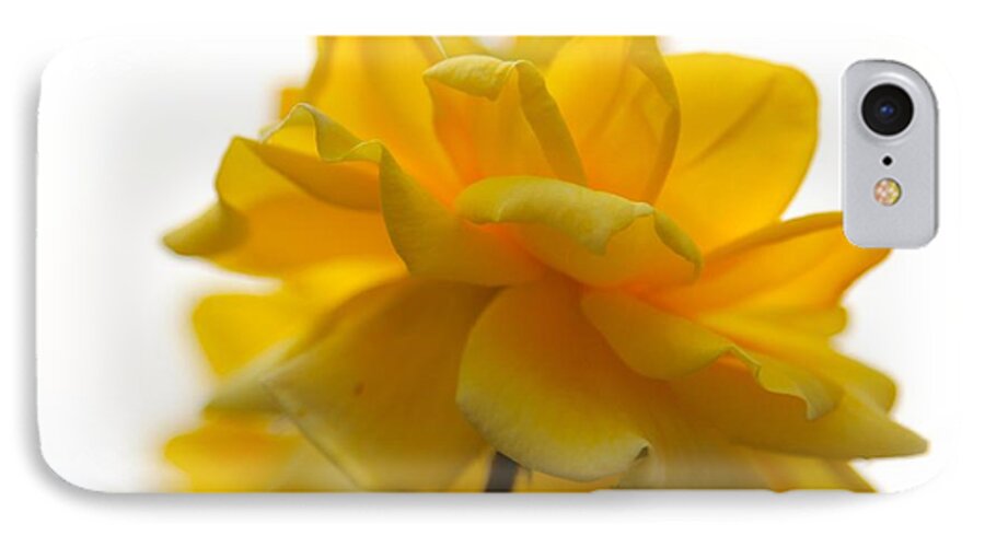 Rose iPhone 7 Case featuring the photograph Yellow Rose Garden by Liz Vernand