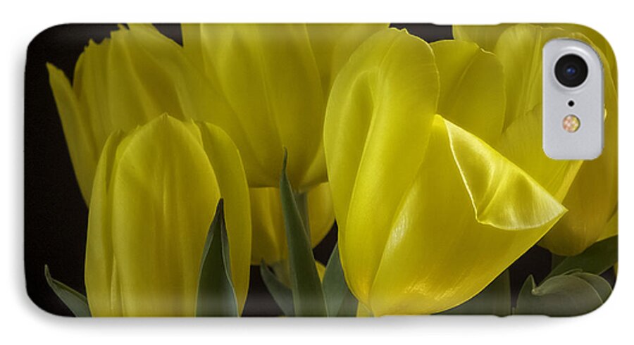 Tulips iPhone 7 Case featuring the photograph Yellow Silk by Lucinda Walter