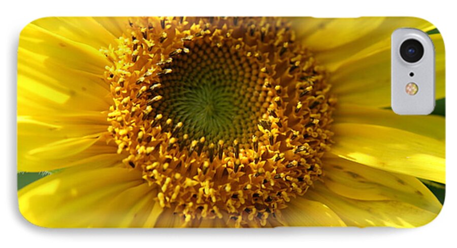 Sunflower iPhone 7 Case featuring the photograph Yellow Sunshine by Neal Eslinger