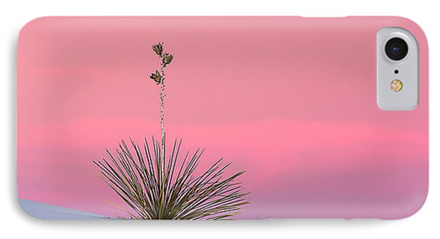 Colorado iPhone 7 Case featuring the photograph Yucca on Pink and White by Kristal Kraft
