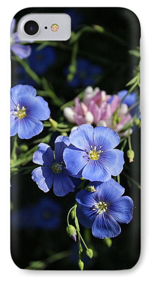 Zip A Dee Doo Dah iPhone 7 Case featuring the photograph Zip A Dee Doo Dah by Elizabeth Sullivan