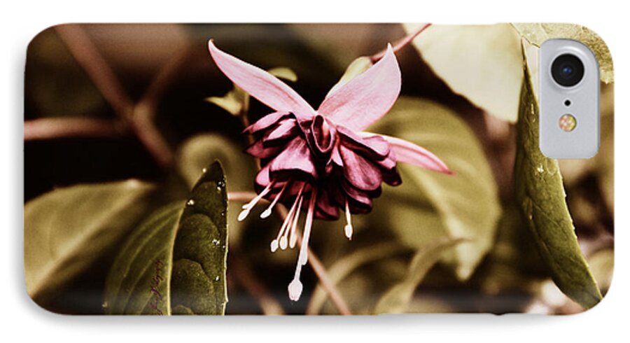 Flower iPhone 7 Case featuring the photograph Antiqued Fuchsia #1 by Jeanette C Landstrom