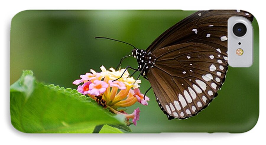 Butterfly iPhone 7 Case featuring the photograph Butterfly #1 by Fotosas Photography