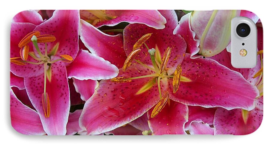 Flower iPhone 7 Case featuring the photograph Pink Lilies with Water Droplets #1 by Corinne Elizabeth Cowherd