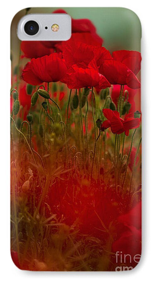 Poppy iPhone 7 Case featuring the photograph Poppy Flowers 06 #1 by Nailia Schwarz