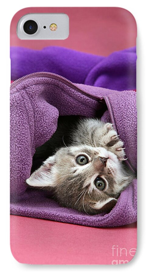 Animal iPhone 7 Case featuring the photograph Tabby Kitten #1 by Jane Burton
