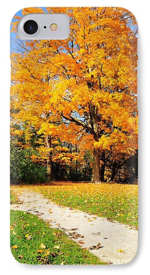 Cover iPhone 7 Case featuring the photograph Tree of Gold #3 by Joe Ng