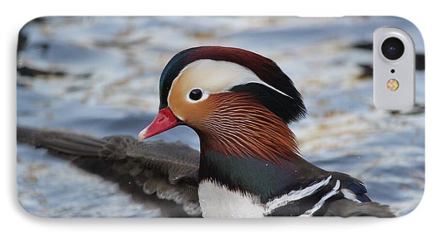 Mandarin Duck iPhone 7 Case featuring the photograph A Splash of Mandarin by Amy Gallagher