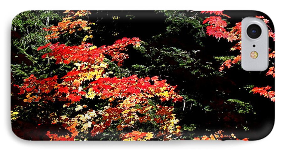 Autumn iPhone 7 Case featuring the photograph Arrival Of Autumn by Nick Kloepping