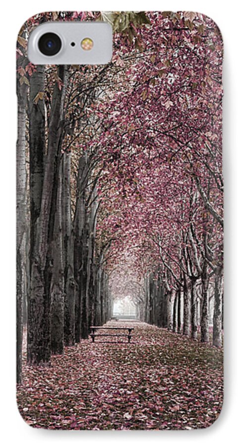 Photo iPhone 7 Case featuring the photograph Autumn in the Grove by Angel Jesus De la Fuente