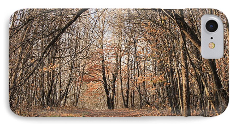 Trees iPhone 7 Case featuring the photograph Autumn in the Woods by Penny Meyers