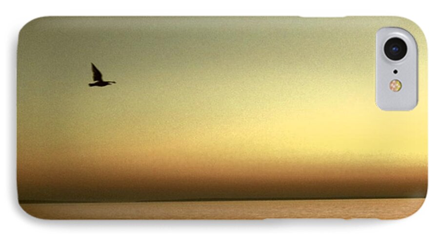 Seagull iPhone 7 Case featuring the photograph Bird at Sunrise - Sepia by Desiree Paquette