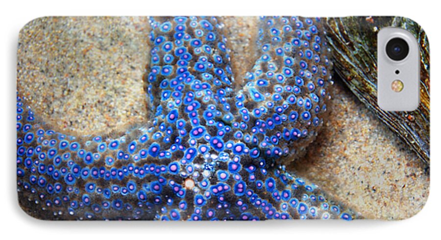 Ocean iPhone 7 Case featuring the photograph Blue starfish by Anthony Citro
