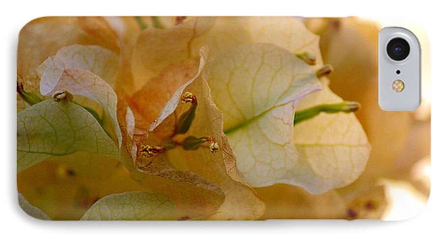 White Bougainvillea iPhone 7 Case featuring the photograph Bougainvillea Memory by Leigh Meredith