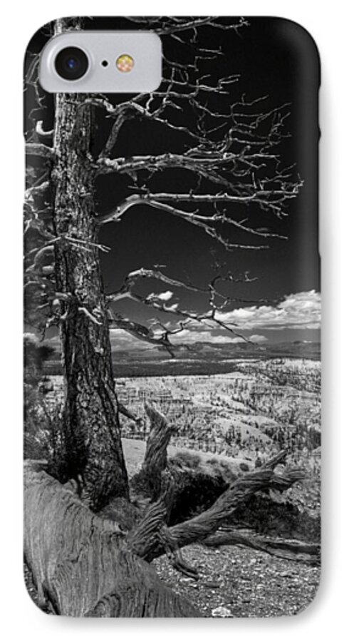 B/w iPhone 7 Case featuring the photograph Bryce Canyon - Dead Tree black and white by Larry Carr