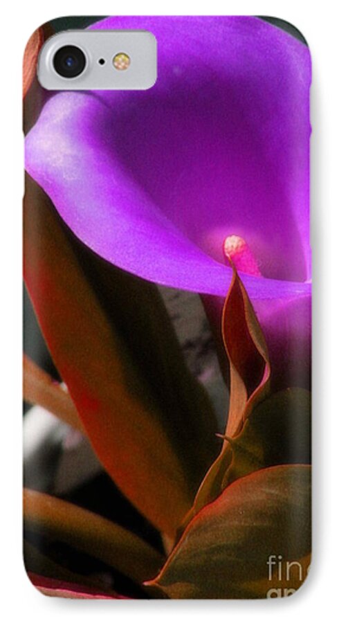 Calla Lily iPhone 7 Case featuring the photograph Calle Color by Lani Richmond Elvenia
