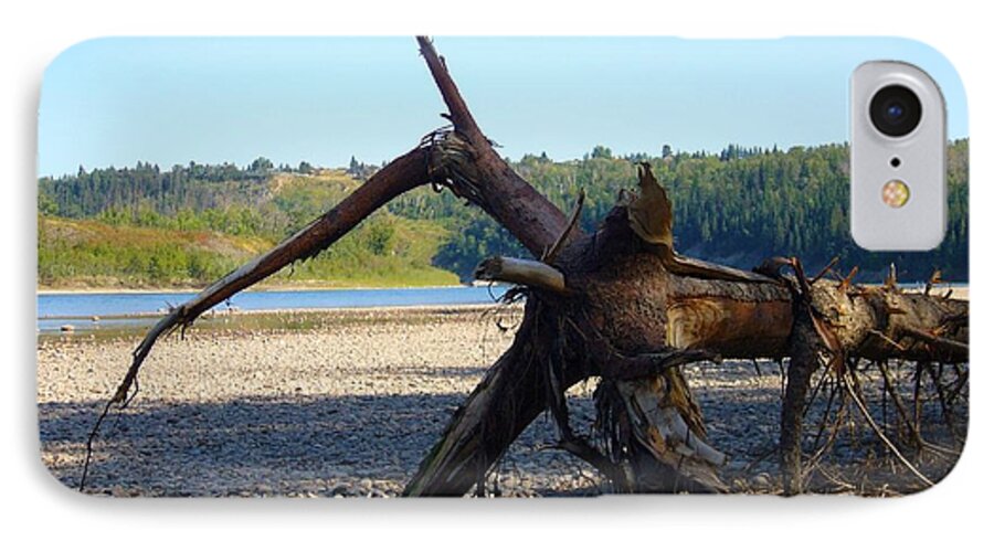 Tree iPhone 7 Case featuring the photograph Canadian Driftwood by Jim Sauchyn