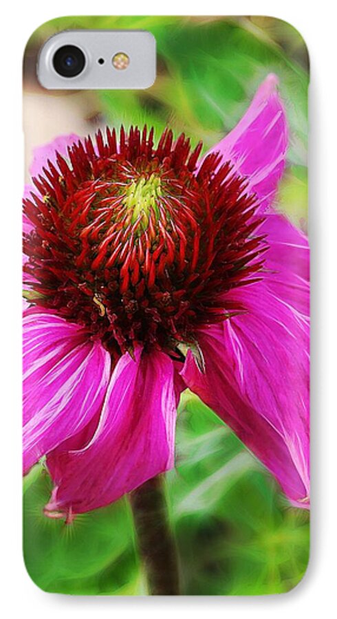 Cone iPhone 7 Case featuring the photograph Coneflower by Judi Bagwell