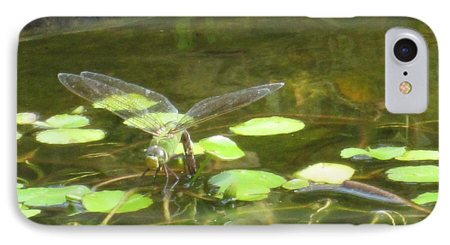 Dragonfly iPhone 7 Case featuring the photograph Dragonfly by Laurianna Taylor