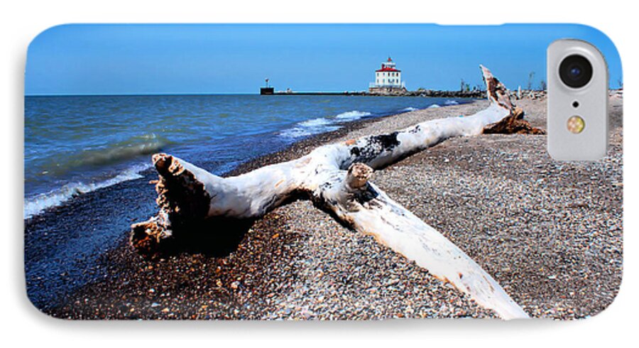 Erie Lake iPhone 7 Case featuring the photograph Driftwood at Erie by Michelle Joseph-Long