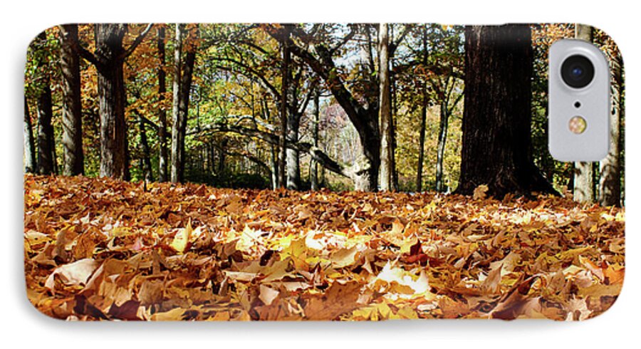 Autumn iPhone 7 Case featuring the photograph Fall on the Ground by Rachel Cohen