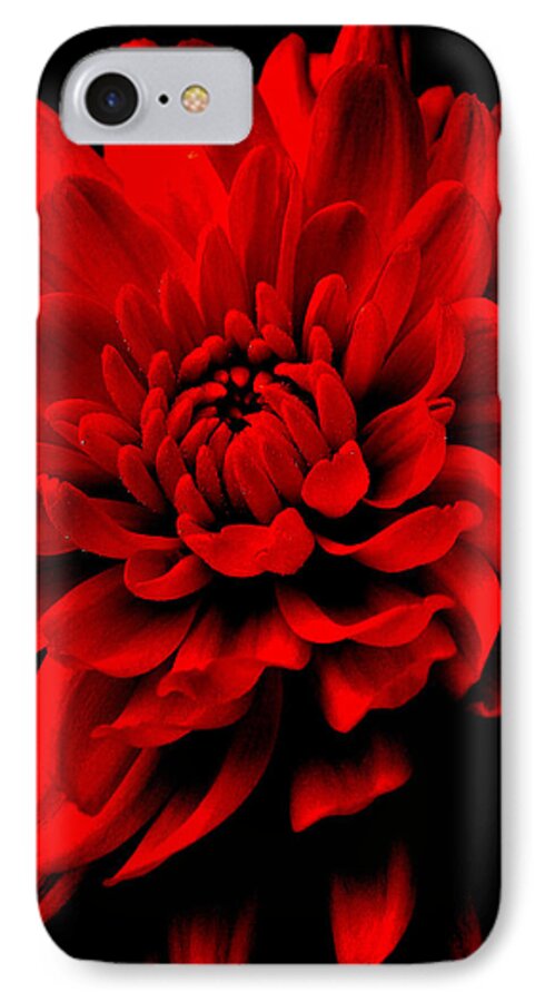 Flower iPhone 7 Case featuring the photograph Flower 1 by Jeff Heimlich